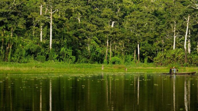 Iquitos: Excursion to Pacaya Samiria - What to Expect
