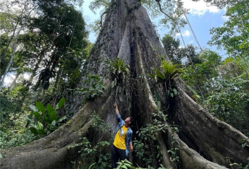 Iquitos: Expedition and Adventure in the Amazon | 2 Days - Tour Overview