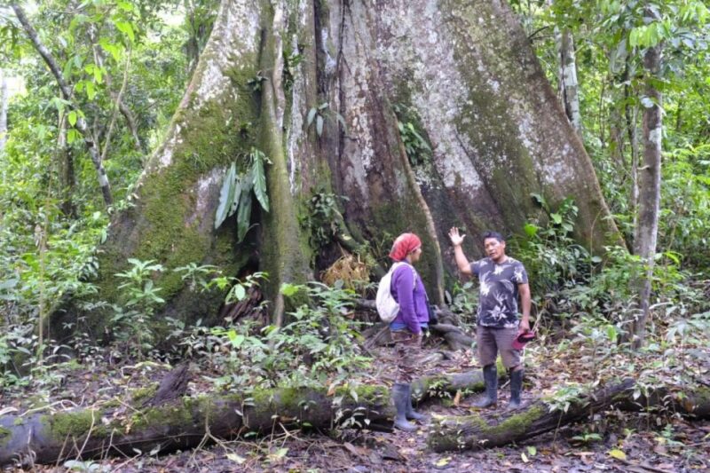 Iquitos: Expedition and Adventure in the Amazon | 2 Days - Important Information