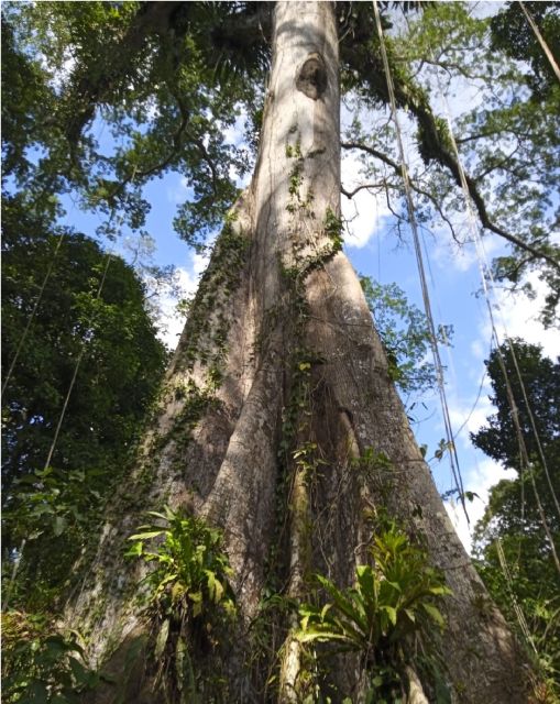 Iquitos: Full Day | Pacaya Samiria Reserve - Exclusions