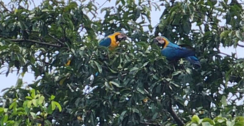 Iquitos: Full Day Wildlife in the Amazon - Booking Information