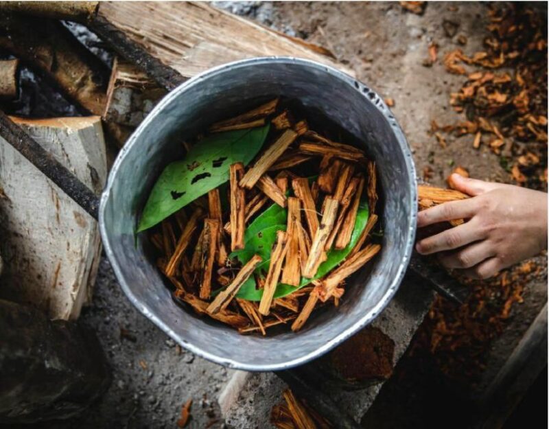 Iquitos: Healing Treatment With Ayahuasca | 1 Ceremony - Center and Botanical Walk