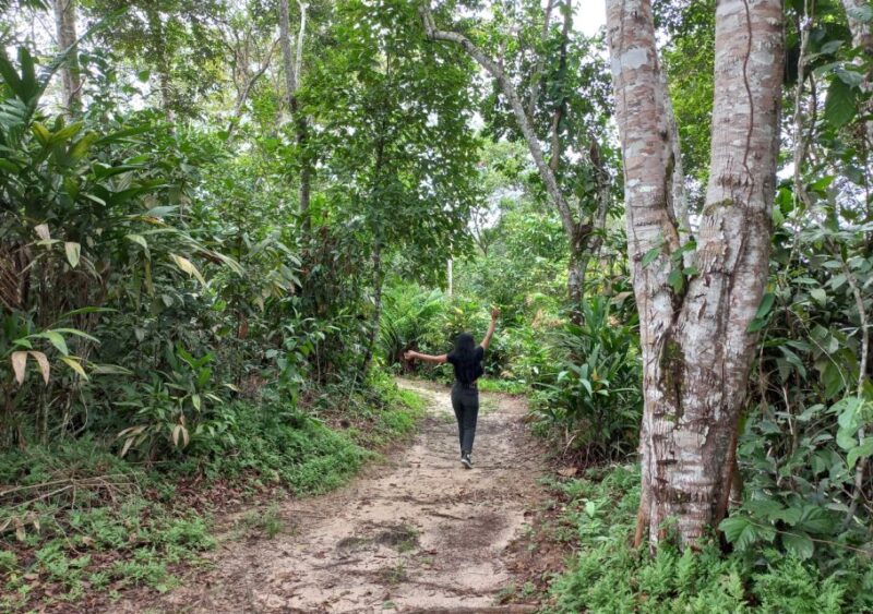 Iquitos: Healing Treatment With Medicinal Plants - Experience Highlights
