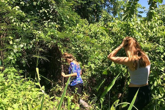 Iquitos in the Jungle 2 Days -1 Night - Tour Structure and Policies