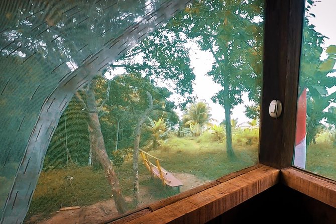 Iquitos in the Jungle 2 Days -1 Night - Exploring Iquitos