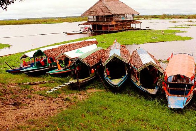 Iquitos in the Jungle 2 Days -1 Night - Experiencing the Jungle