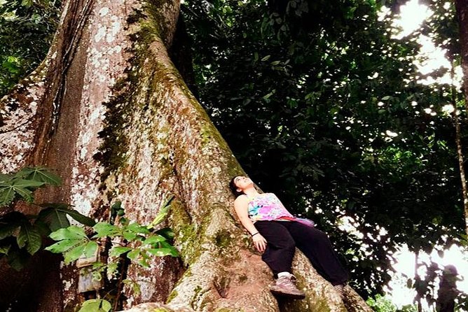 Iquitos in the Jungle 3 Days - 2 Nights All Include - Wildlife Encounters