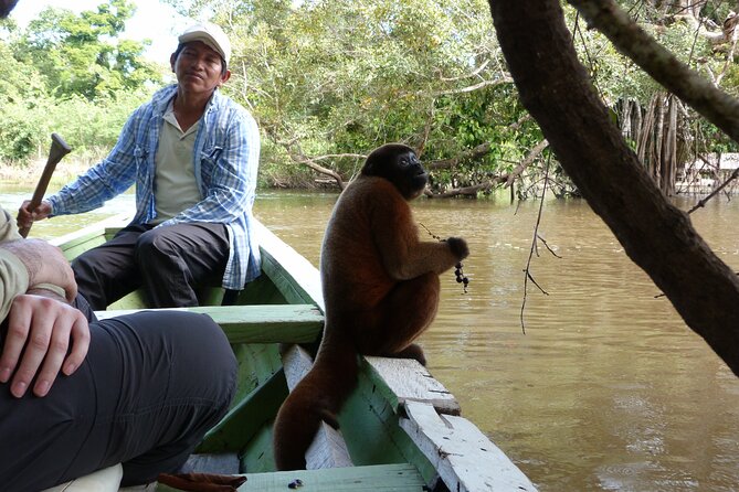Iquitos Jungle 4 Days Private Tour -Native Community Project- - Day 3: Piranha Fishing and Night Walks