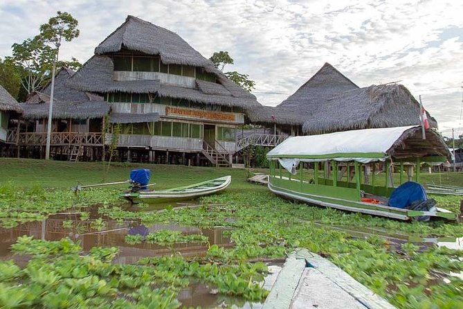 Iquitos Jungle 4 Days Private Tour -Native Community Project- - Guest Feedback and Ratings