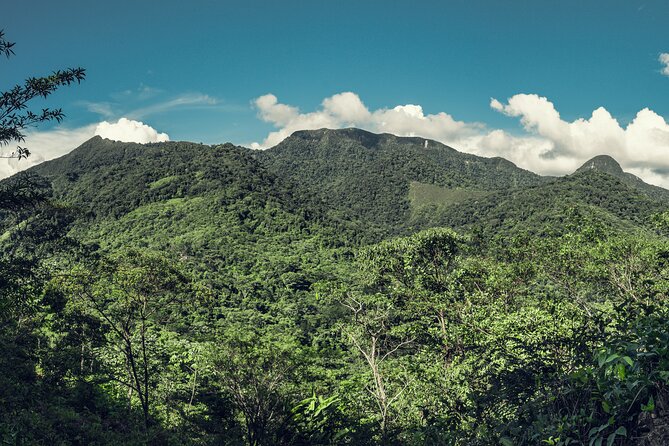 Iquitos Jungle Tour for 3 Days - Exclusions