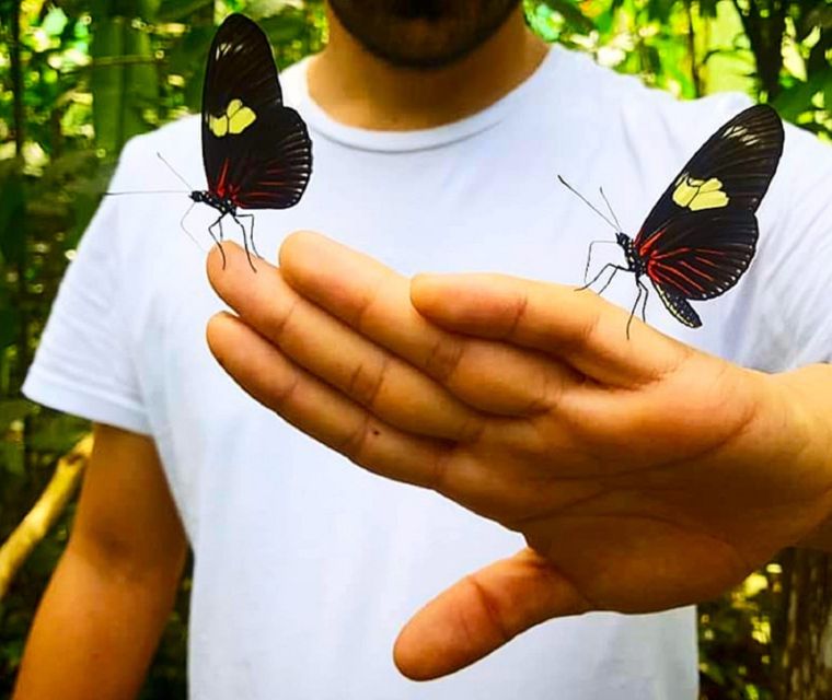 Iquitos: Pilpintuwasi Butterfly Farm Tour - Exploring the Butterfly Farm