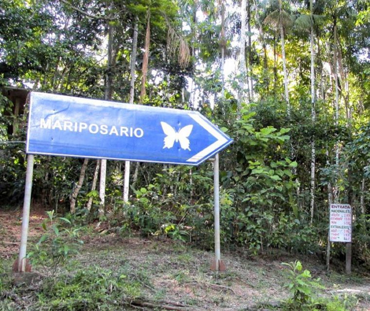 Iquitos: Pilpintuwasi Butterfly Farm Tour - Discovering the Kukama Kukamiria Community