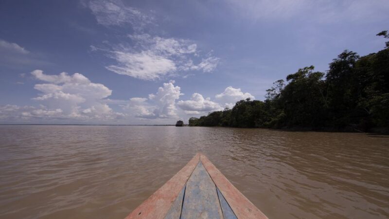 Iquitos: Piranha Fishing Experience in the Amazon Jungle - Pickup and Transportation
