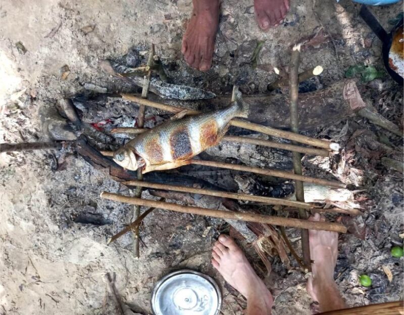 Iquitos: Private Tour of the Pacaya Samiria National Reserve - Participant Requirements