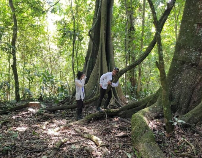 Iquitos: Private Tour of the Pacaya Samiria National Reserve - About the Guide
