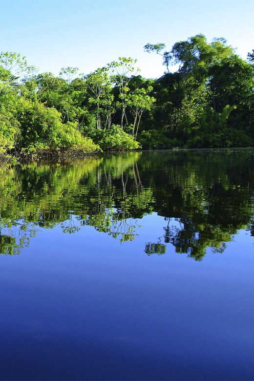 Iquitos: Tour of Pacaya Samiria for 3 Days - Day 2: River Exploration and Jungle Walk