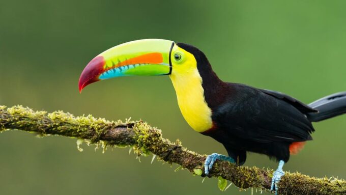 Iquitos: Tour of the Northern Amazon in 3 Days - Cultural Experiences