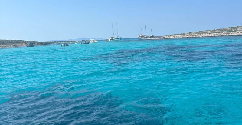 Iraklia and Koufonissia- One Day Cruise From Naxos - Booking Information