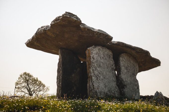Ireland: 3-Day West Coast Explorer Tour - Inclusions
