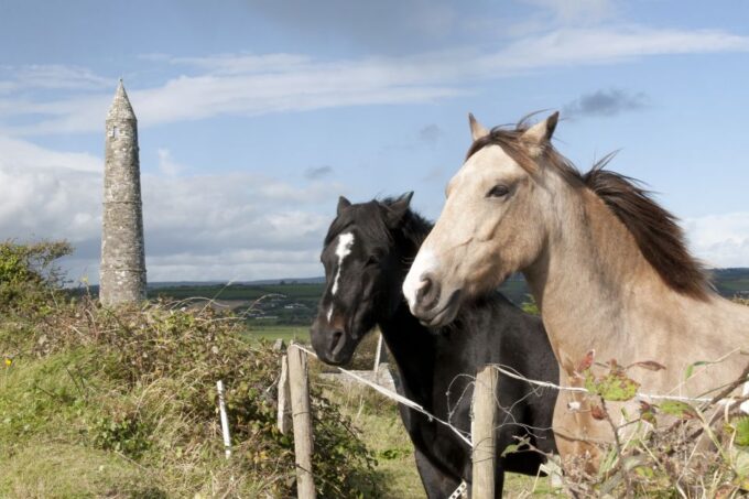 Ireland: Blarney Castle, Kilkenny & Irish Whiskey 3-Day Tour - Visiting Wicklow Mountains