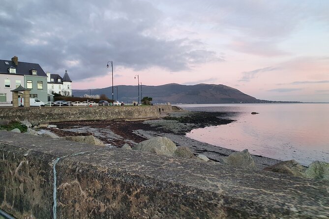 Ireland North Coast MEGA Trip for up to 8 Passengers - Accessibility and Participation