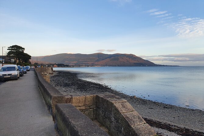 Ireland North Coast MEGA Trip for up to 8 Passengers - Customer Feedback