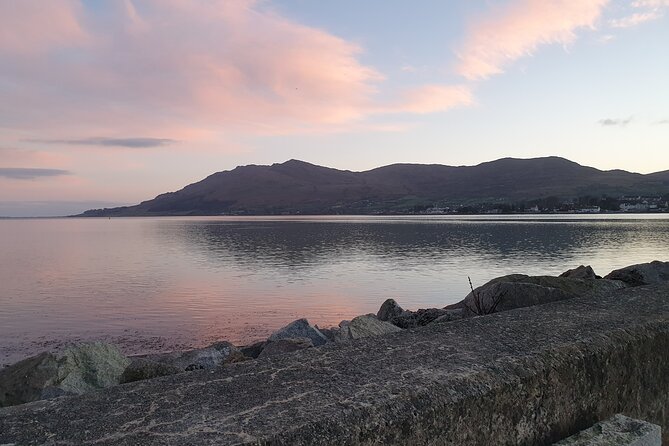 Ireland North Coast MEGA Trip for up to 8 Passengers - Vehicle Details