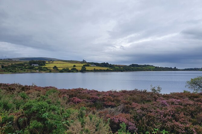 Ireland North Coast MEGA Trip for up to 8 Passengers - Tour Highlights