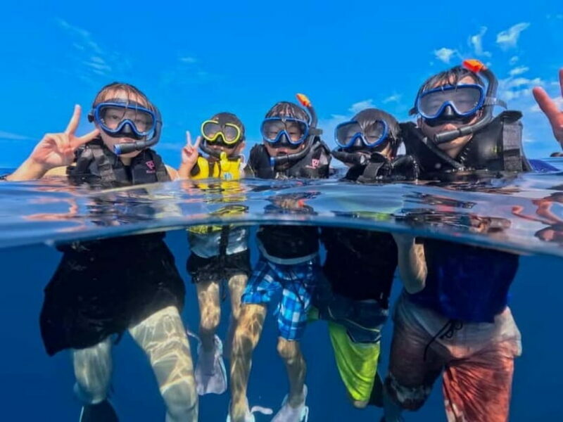 Iriomote: Boat Snorkeling Tour at Barasu Island - Why This Tour Stands Out