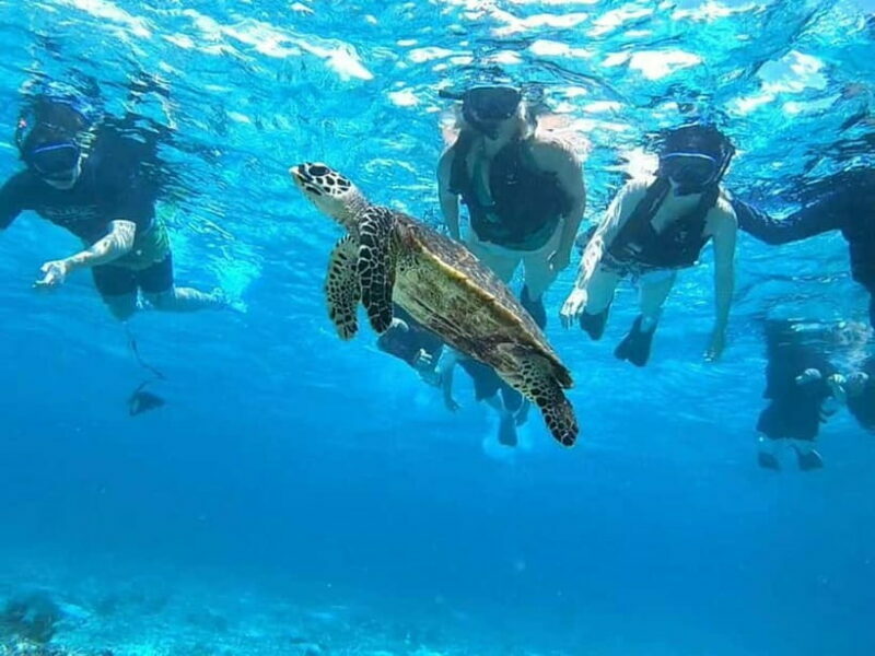 Iriomote: Boat Snorkeling Tour at Barasu Island - Eco-Friendly and Responsible Tourism