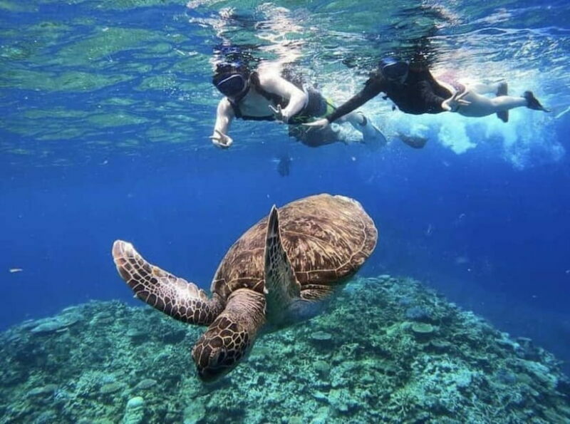 Iriomote: Boat Snorkeling Tour at Barasu Island - FAQ