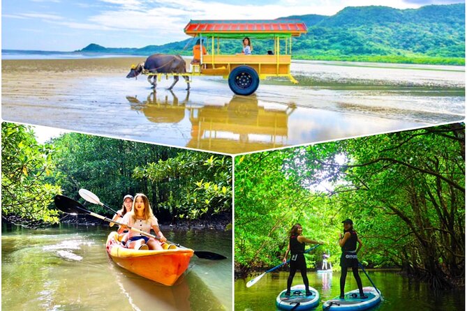 Iriomote Canoe Tour + Sightseeing in Yubujima Island - Key Points