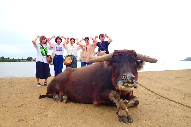 Iriomote Canoe Tour + Sightseeing in Yubujima Island - Minimum Travelers