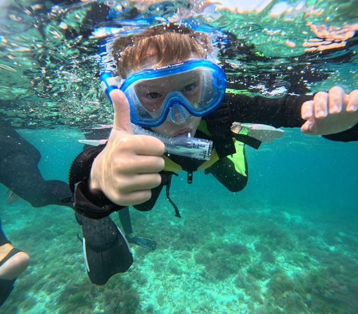 Iriomote: Coral Snorkeling and Yubujima Sightseeing Tour! - Key Points