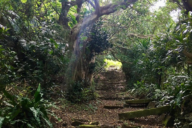 Iriomote Island Cultural Discovery. Indigenous Culture on Iriomote Island - Tour Group Size and Accessibility