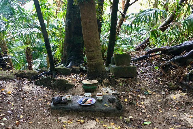 Iriomote Island Cultural Discovery. Indigenous Culture on Iriomote Island - Confirmation and Booking Policy