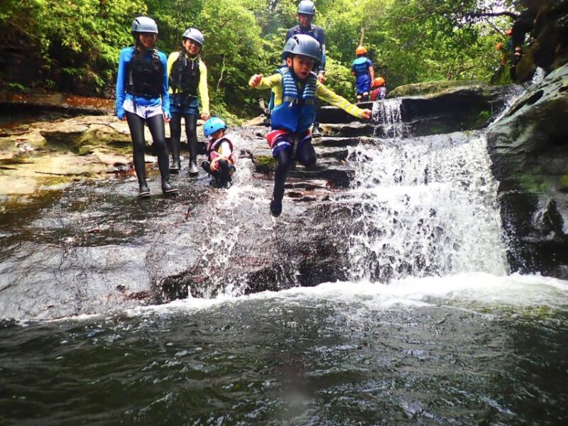Iriomote Island: Guided 2-Hour Canyoning Tour - Canyoning on the Ōmija River
