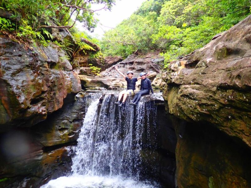 Iriomote Island: Kayaking and Canyoning Tour - Kayaking in the Mangroves