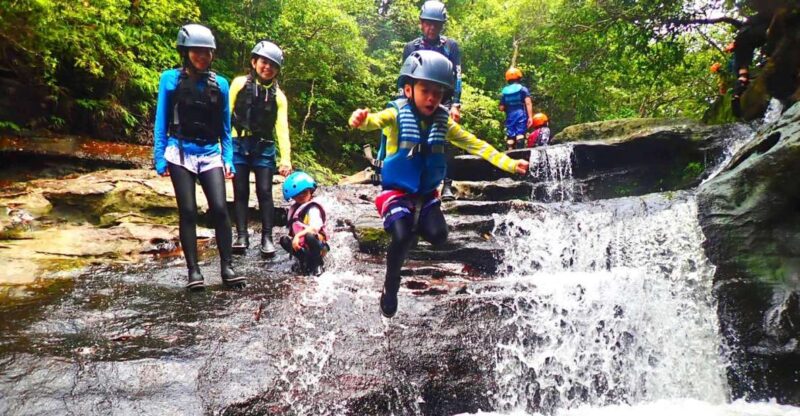 Iriomote Island: Kayaking and Canyoning Tour - Spotting Wildlife on the River