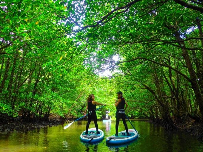 Iriomote Island: Kayaking and Canyoning Tour - Frequently Asked Questions