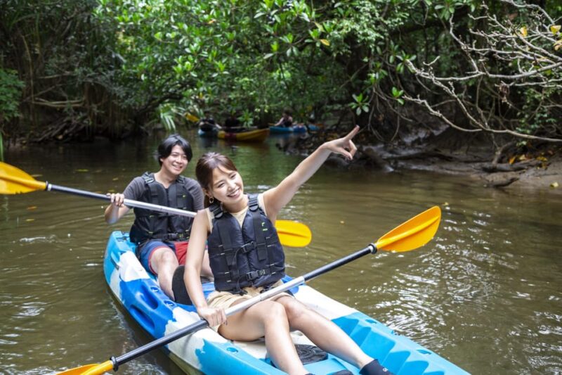 Iriomote Island: Kayaking and Snorkeling Tour - Snorkeling in the Ocean