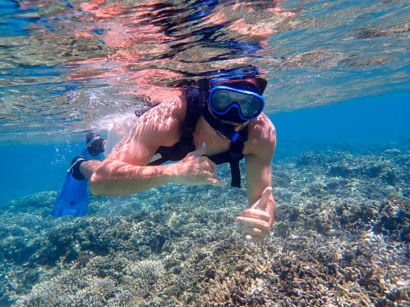 Iriomote Island: Kayaking and Snorkeling Tour - Participant Restrictions