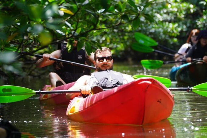 Iriomote Island: Kayaking and Snorkeling Tour - Pricing and Booking