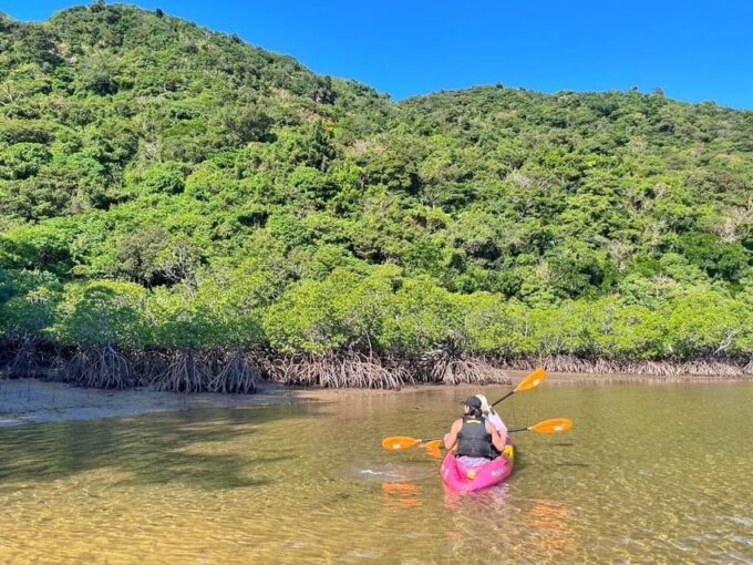 Iriomote Island: Kayaking and Snorkeling Tour - Cancellation Policy