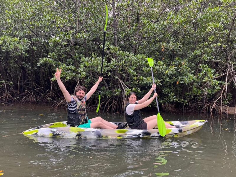 Iriomote Island: Mangrove River SUP Cruising Tour - Key Points