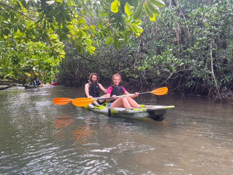Iriomote Island: Mangrove River SUP Cruising Tour - Activity Highlights and Inclusions