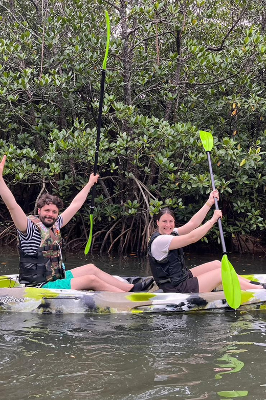 Iriomote Island: Mangrove River SUP Cruising Tour - Meeting Point and Contact Information