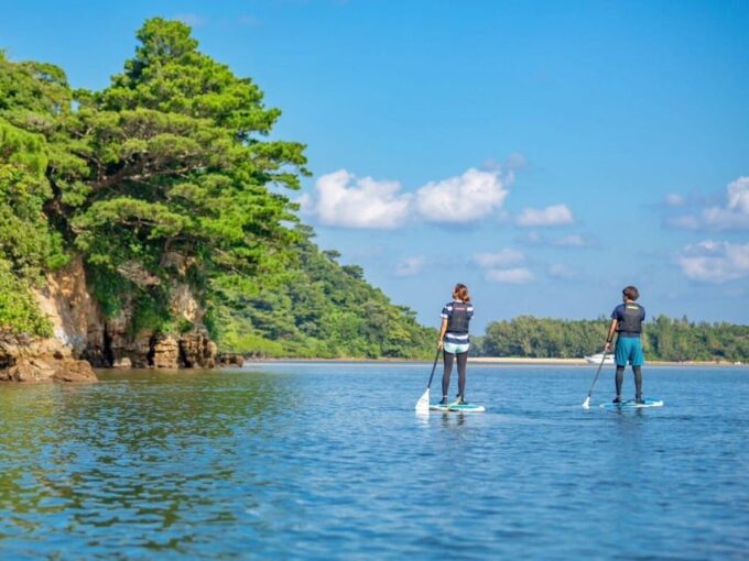 Iriomote Island: Mangrove River SUP Cruising Tour - Stand-up Paddleboarding Experience