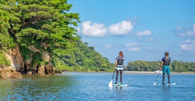 Iriomote Island: Mangrove River SUP Cruising Tour - Trekking Through the Mangroves