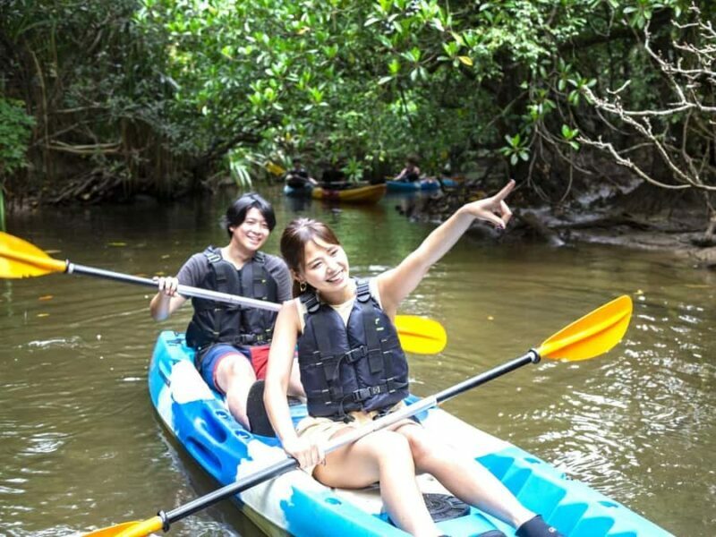 Iriomote island: Mangrove River SUP or Canoe Cruising Tour - Key Points